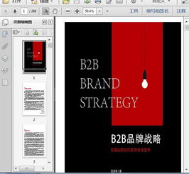 品牌管理 B2B企业品牌战略268页